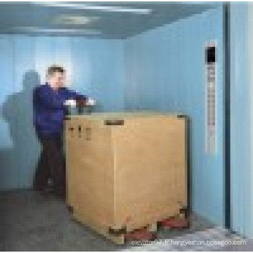 Fjzy-Haute qualité et sécurité Freight Elevator Fjh-16006